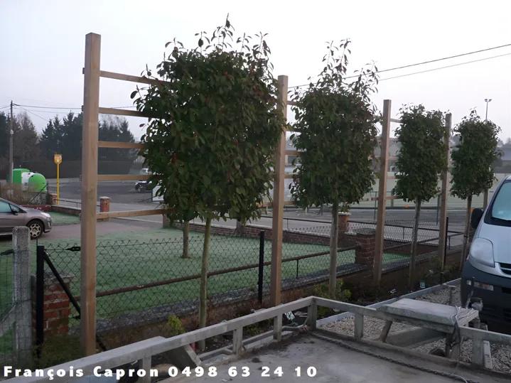 Plantation d’arbres et installation de tuteurs